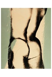 Torso from Behind, c.1977 Posters by Andy Warhol