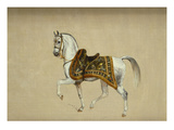 A Horse in Ceremonial Saddlecloth - the Mount of the Marquess Clanricade Giclee Print by Richard Barrett Davis