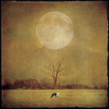 One Cow Prints by Dawne Polis