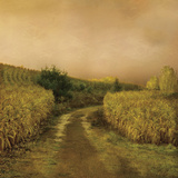 Sunset Cornfield Poster by Dawne Polis