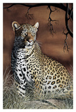 Sitting Leopard Prints by Rajendra Singh