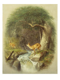 A Cautious Crossing Giclee-trykk av William Holbrook Beard A Cautious Crossing Giclee-trykk av William Holbrook Beard