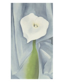 Calla Lily on Grey, c.1928 Affiches par Georgia O'Keeffe