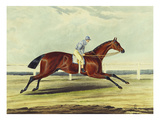 English Racehorses Giclee Print by G. Reeve