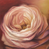 Rose Portrait Posters par Lisa Audit