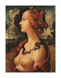 Portrait of Simonetta Vespucci, c. 1480 Art par Piero di Cosimo 