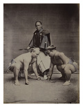 Samurai, Japanese Wrestlers and Tattooed Men, 1870's-90's Giclee Print