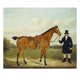 A Gentleman Holding His Hunter in a Landscape Giclee Print by E.W. Gill