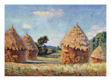 Haystacks; Les Meules reproduction procédé giclée par Armand Guillaumin