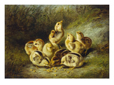 Rather Hard Fare Giclee Print by Arthur Fitzwilliam Tait