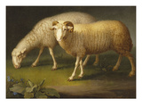 A Ram and a Sheep Giclee Print by Johan Wenzel Peter