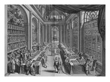 Natural History Collection; Wondertooneel Der Nature Giclee Print by Vincent Levinius