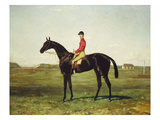 A Racehorse with Jockey Up on the Racetrack at Newmarket Giclee Print by Harry Hall