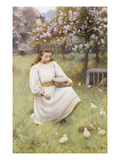 Feeding Time Giclee Print by William Affleck