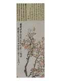 Apricot Blossoms Giclee Print by Wu Changshuo