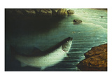The Rise Giclee Print by Walter Brackett