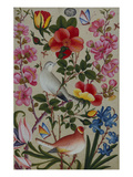 Bird and Flower Study Giclee Print