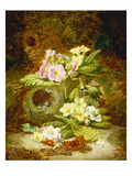 Primroses, Polyanthus, Apple Blossom and a Bird's Nest on a Mossy Bank Giclee Print by Thomas Worsey