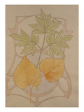 Design with Fig and Vine Leaves and a Sinuous Art Nouveau Motif in the Background. Lámina giclée por Koloman Moser Design with Fig and Vine Leaves and a Sinuous Art Nouveau Motif in the Background. Lámina giclée por Koloman Moser