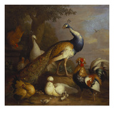 A Peacock, a Peahen and Poultry in a Landscape Giclee Print by Tobias Stranover