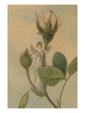 A Fairy Poised Between Pink Rosebuds Giclee Print by Amelia Jane Murray
