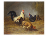 Poultry Feeding Giclee Print by Arthur Fitzwilliam Tait
