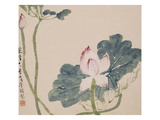 A Page (Flowers) from Flowers and Bird, Vegetables and Fruits Giclée-Druck von Li Shan