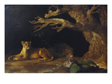 Lioness and Lion in a Cave Giclée-Druck von George Stubbs