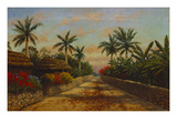 Camino Con Palmeras Giclee Print by August Lohr