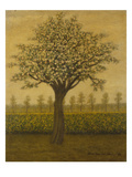 The Appletree; Le Pommier Reproduction procédé giclée par Albijn van den Abeele