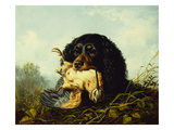 A Cocker Spaniel with a Woodcock Giclee Print by Arthur Fitzwilliam Tait