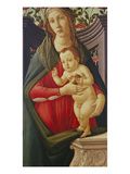The Madonna and Child in a Niche Decorated with Roses Giclee Print by Sandro Botticelli (Studio of)