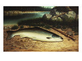 Landed Giclee-trykk av Walter Brackett Landed Giclee-trykk av Walter Brackett