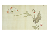 Poppy from Primrose, Mount Fuji, Bamboo and Toy Bird, Kanzan and Jittoku, Cuckoo under the Moon,… Reproduction procédé giclée par Sakai Hoitsu