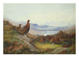 Morning of the Twelfth Giclée-Druck von Archibald Thorburn