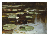 Water Lilies Giclee Print by Julius Sergius Klever