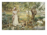 A Summer's Afternoon Giclee Print by Alfred Augustus Glendening