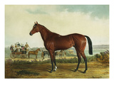 Kentucky Giclee Print by Edward Troye