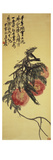 Three Peaches Reproduction procédé giclée par Wu Changshuo