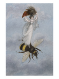 A Fairy Carrying a Feather Standing on a Bee Giclee Print by Amelia Jane Murray
