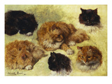 Studies of Cats Giclée-Druck von Henriette Ronner-Knip