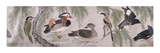 Birds (Detail) Giclee Print by Yu Sheng