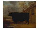 A Black Bull Standing by a Cowshed, an Extensive Landscape Beyond Giclee Print by James Pollard