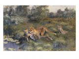 A Vixen with Her Cubs in a Wooded Marshy Landscape Giclee Print by Bruno Andreas Liljefors