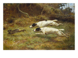 Terriers on a Hare Giclee Print by Thomas Blinks