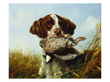 A Pointer with a Quail Amongst Clover reproduction procédé giclée par Arthur Fitzwilliam Tait