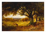 Spithead, Uppark, Sussex Reproduction procédé giclée par George Cole