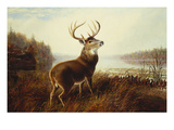 A Stag by a Lake Giclee Print by Arthur Fitzwilliam Tait