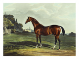 English Racehorses Giclee Print by J. Ferneley