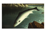 The Leap Giclee Print by Walter Brackett